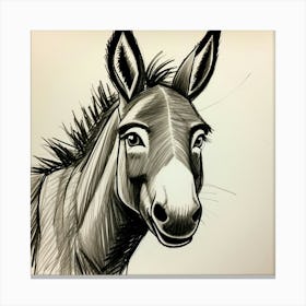 Donkey Portrait Canvas Print