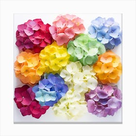 Colorful Hydrangeas 2 Canvas Print