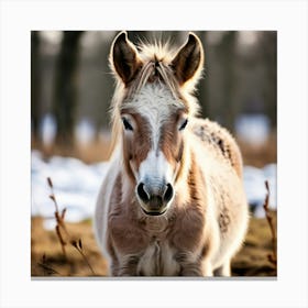 Horse Animal Grass Breeding Head Pasture Donkey Standing Farm Cute White Background Natu (4) Canvas Print