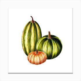 Watercolor Pumpkins Isolated On White Canvas Print