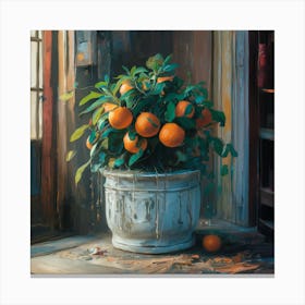 Oranges In A Pot 3 Canvas Print