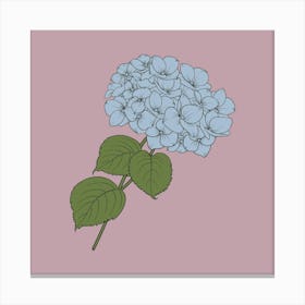 Hydrangea Canvas Print