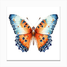 Butterfly 1 Canvas Print