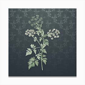 Vintage Hemlock Flowers Botanical on Slate Gray Pattern n.2148 Canvas Print
