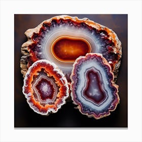 Agate Slices 2 Canvas Print