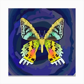 Mechanical Butterfly Urania Ryphaeus On A Blue Background Canvas Print