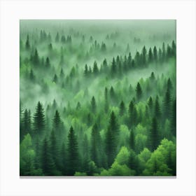 Misty Forest 4 Canvas Print