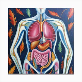 Organs Of The Human Body 14 Canvas Print