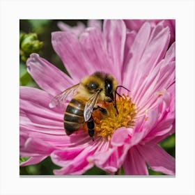 Bee On A Pink Flower Canvas Print