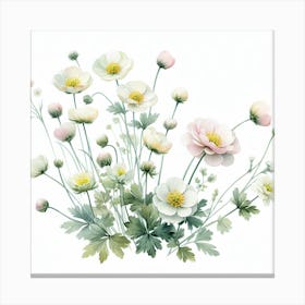 Flowers of buttercup 2 Canvas Print