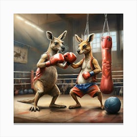 Boxing Kangaroos 3 Canvas Print