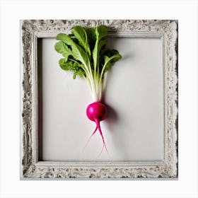 Radish In A Frame 4 Canvas Print