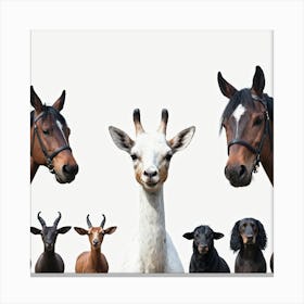 Group Of Horses Canvas Print