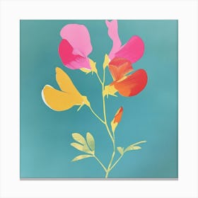 Sweet Pea 1 Square Flower Illustration Canvas Print