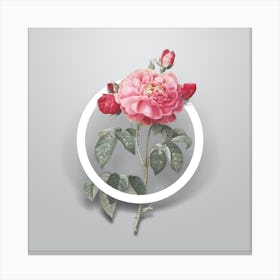 Vintage Duchess of Orleans Rose Minimalist Flower Geometric Circle on Soft Gray n.0497 Canvas Print