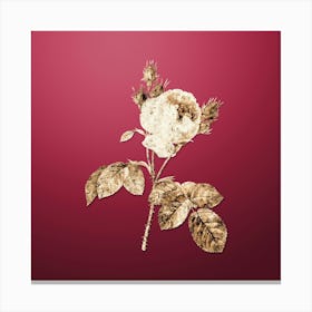 Gold Botanical Pink Cabbage Rose on Viva Magenta n.1728 Canvas Print