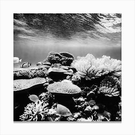 Black And White Coral Reef 2 Canvas Print