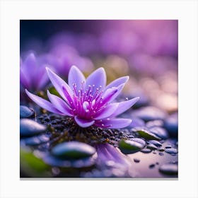 Water Lily 2 Canvas Print