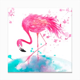 Flamingo 2 Canvas Print