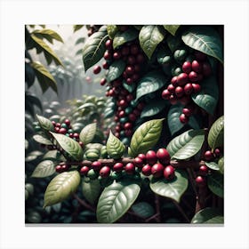 Coffee Berries In The Forest Canvas Print