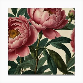 Default Peony 2 Floral Botanical Vintage Poster Flower Canvas 1 Canvas Print