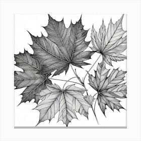 Line Art maple leaves Canvas Print