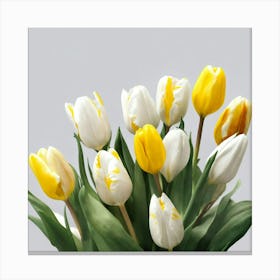 Yellow And White Tulips Canvas Print