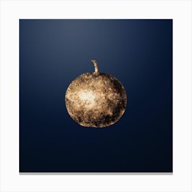 Gold Botanical Adam's Apple on Midnight Navy n.0388 Canvas Print