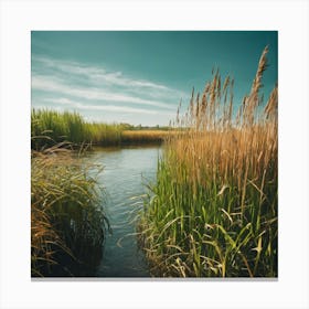 Reeds In The Water 2 Canvas Print