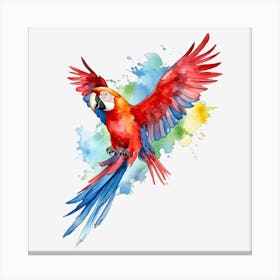 Red Macaw Canvas Print