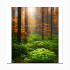 Autumn Forest 2 Canvas Print