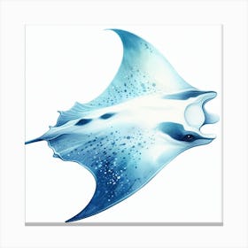 Manta ray 3 Canvas Print