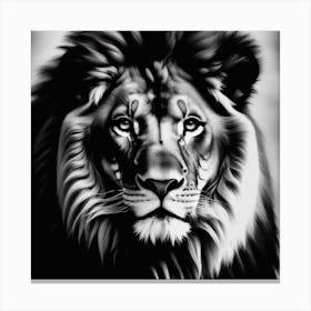 Lion Portrait 1 Canvas Print