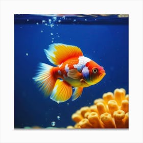 Goldfish 1 Canvas Print