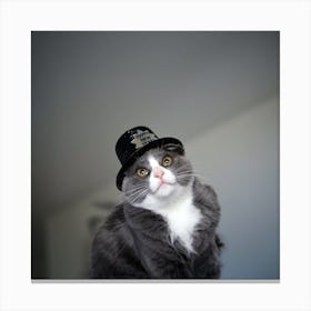 Cat In Hat Canvas Print