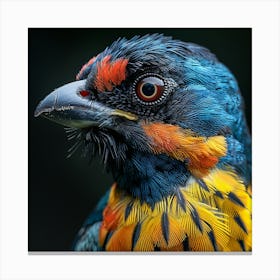 Colorful Bird 11 Canvas Print