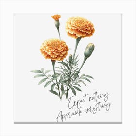 Marigold - Expect Nothing Appreciate Everything Canvas Print