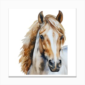 Horse Head.uk 1 Canvas Print