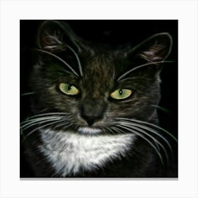 Cat With Green Eyes Canvas Print