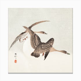 Geese And Full Moon, Ohara Koson Canvas Print