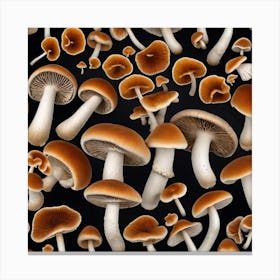 Many Mushrooms On A Black Background 6 Canvas Print
