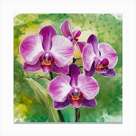 Orchids Watercolor Painting 1 Canvas Print