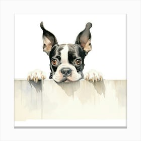 Boston Terrier Canvas Print