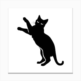 Cat Jumping Canvas Print