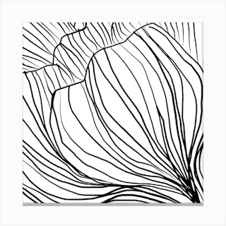 Black And White Flower Drawing Canvas Print