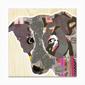 Bordercollie Collage Canvas Print