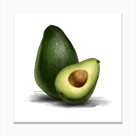 Avocado Canvas Print