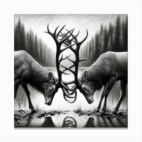 Deer Horns Canvas Print