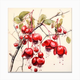 Berries Canvas Print