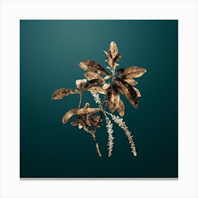 Gold Botanical Swamp Titi Leaves on Dark Teal n.0618 Canvas Print